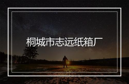 桐城市志远纸箱厂