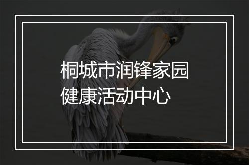 桐城市润锋家园健康活动中心