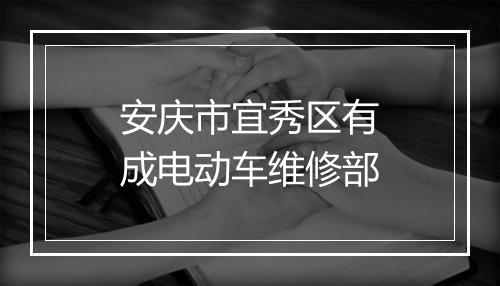 安庆市宜秀区有成电动车维修部