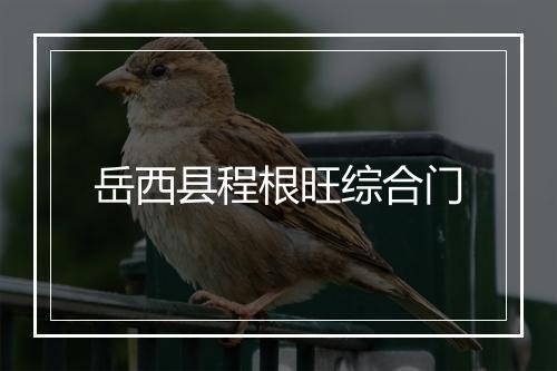 岳西县程根旺综合门