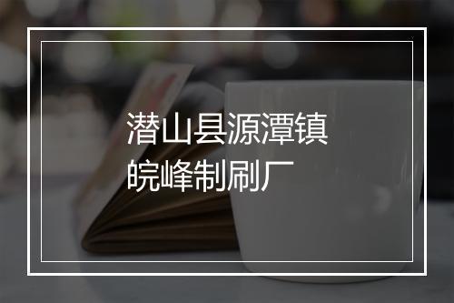 潜山县源潭镇皖峰制刷厂