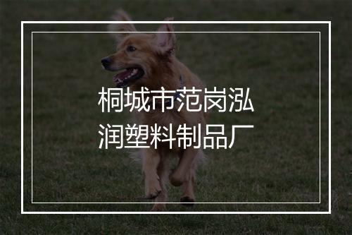 桐城市范岗泓润塑料制品厂
