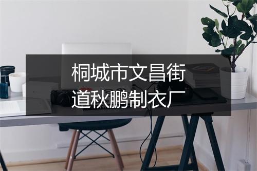 桐城市文昌街道秋鹏制衣厂