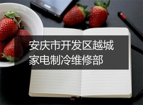安庆市开发区越城家电制冷维修部