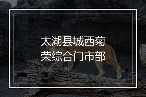太湖县城西菊荣综合门市部