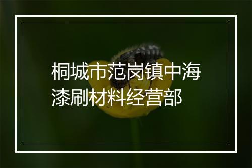 桐城市范岗镇中海漆刷材料经营部