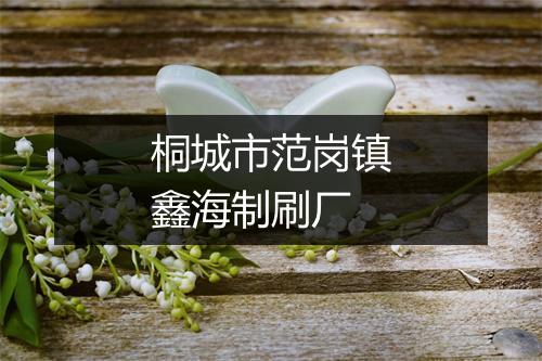 桐城市范岗镇鑫海制刷厂
