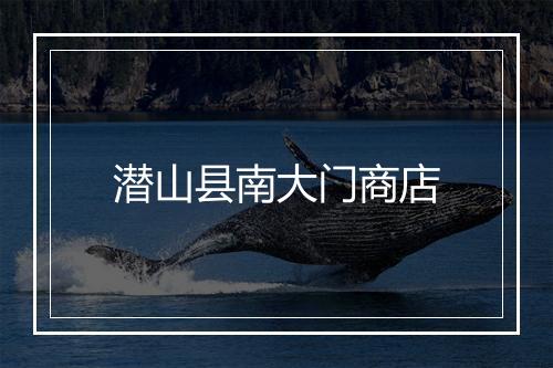 潜山县南大门商店