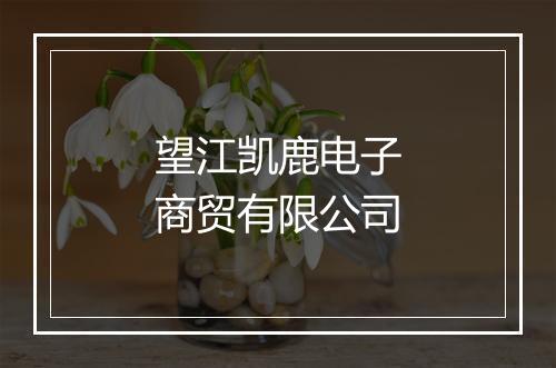 望江凯鹿电子商贸有限公司