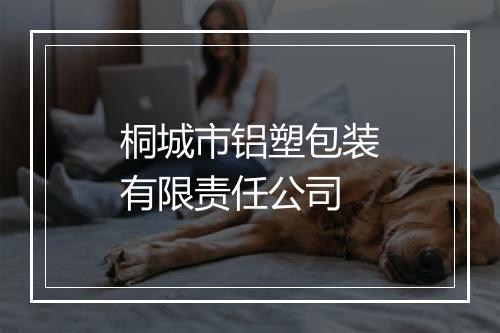 桐城市铝塑包装有限责任公司