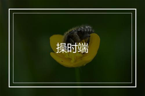 操时端