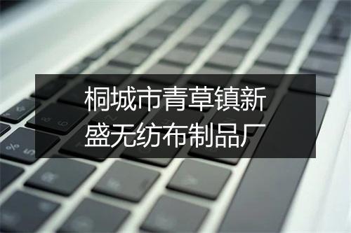 桐城市青草镇新盛无纺布制品厂