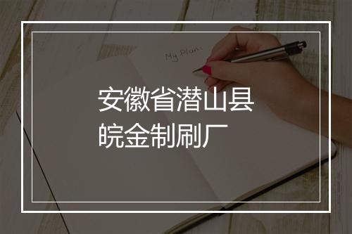 安徽省潜山县皖金制刷厂