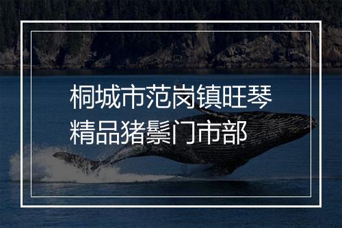 桐城市范岗镇旺琴精品猪鬃门市部