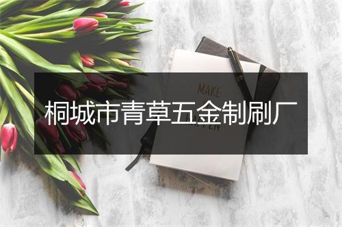 桐城市青草五金制刷厂