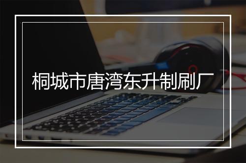 桐城市唐湾东升制刷厂