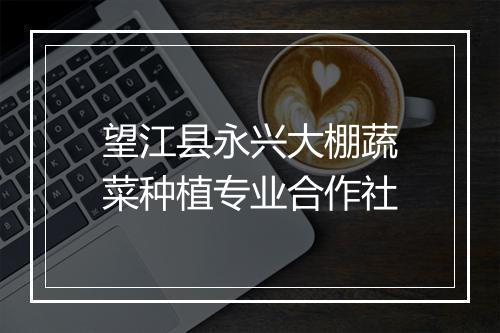 望江县永兴大棚蔬菜种植专业合作社