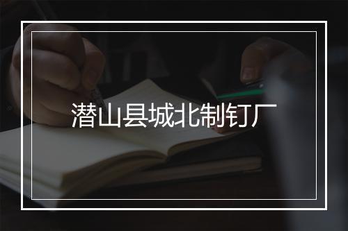 潜山县城北制钉厂
