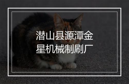 潜山县源潭金星机械制刷厂