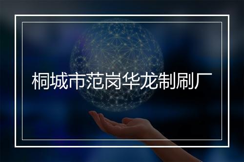 桐城市范岗华龙制刷厂
