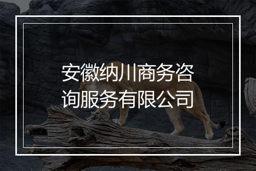 安徽纳川商务咨询服务有限公司