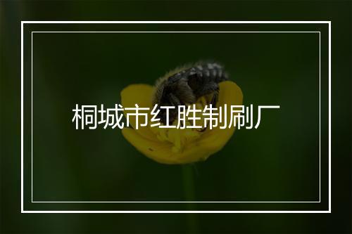 桐城市红胜制刷厂
