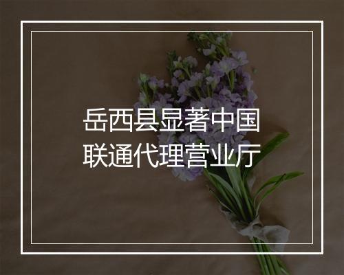 岳西县显著中国联通代理营业厅