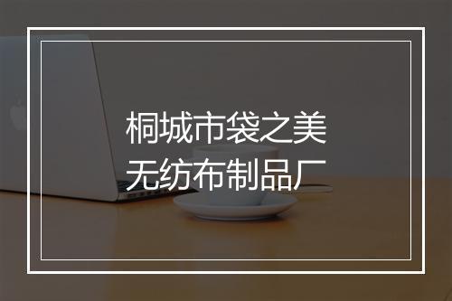 桐城市袋之美无纺布制品厂