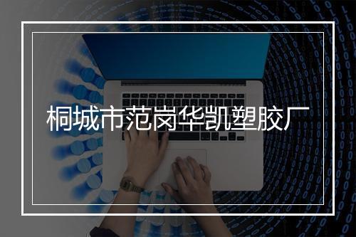 桐城市范岗华凯塑胶厂