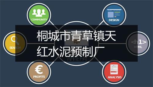 桐城市青草镇天红水泥预制厂