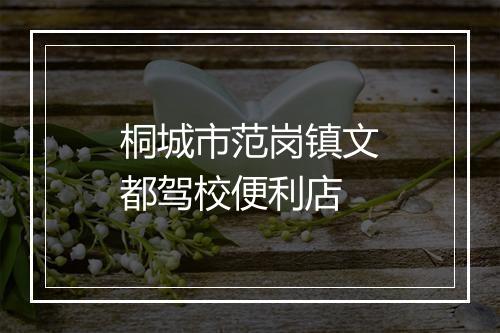 桐城市范岗镇文都驾校便利店