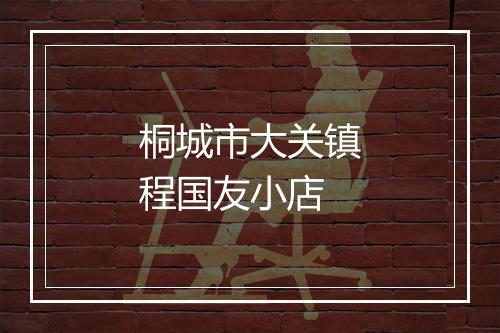 桐城市大关镇程国友小店