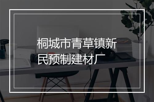 桐城市青草镇新民预制建材厂