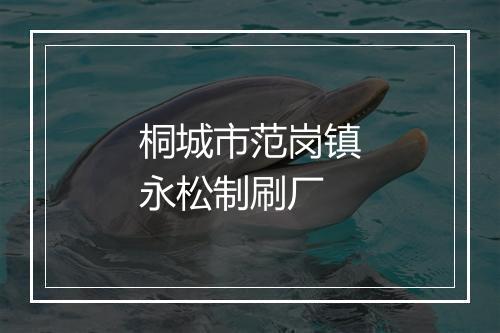桐城市范岗镇永松制刷厂