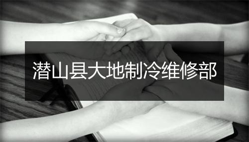 潜山县大地制冷维修部