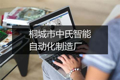 桐城市中氏智能自动化制造厂
