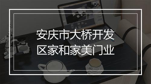 安庆市大桥开发区家和家美门业