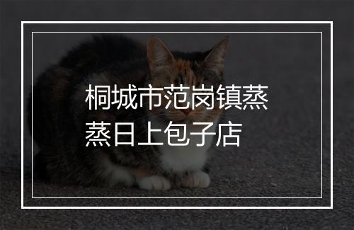 桐城市范岗镇蒸蒸日上包子店