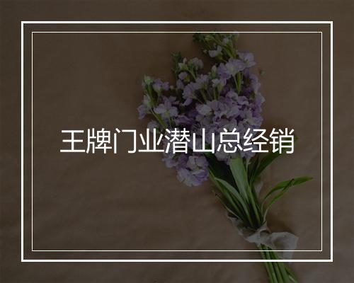 王牌门业潜山总经销
