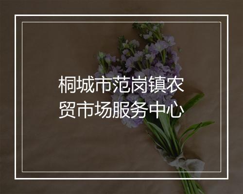 桐城市范岗镇农贸市场服务中心