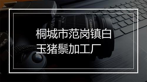 桐城市范岗镇白玉猪鬃加工厂