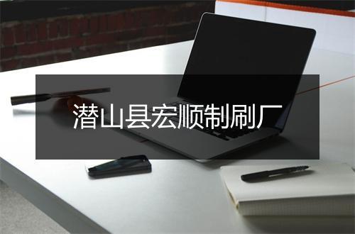 潜山县宏顺制刷厂