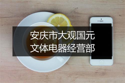 安庆市大观国元文体电器经营部