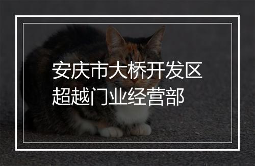 安庆市大桥开发区超越门业经营部