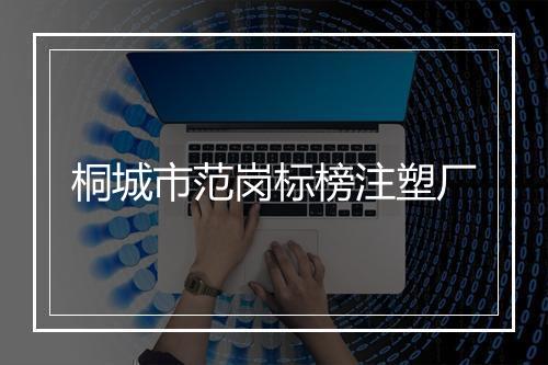 桐城市范岗标榜注塑厂