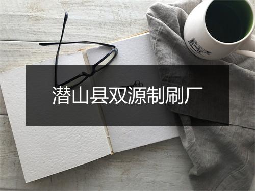 潜山县双源制刷厂