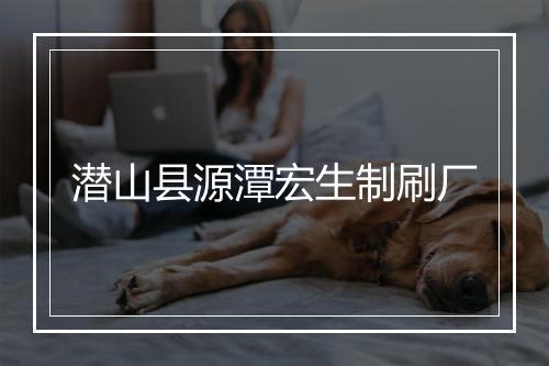 潜山县源潭宏生制刷厂
