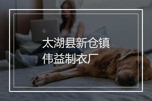 太湖县新仓镇伟益制衣厂