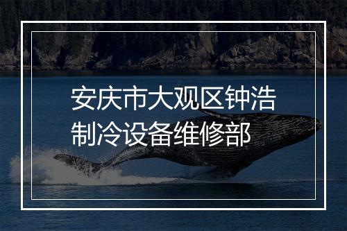 安庆市大观区钟浩制冷设备维修部