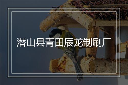 潜山县青田辰龙制刷厂